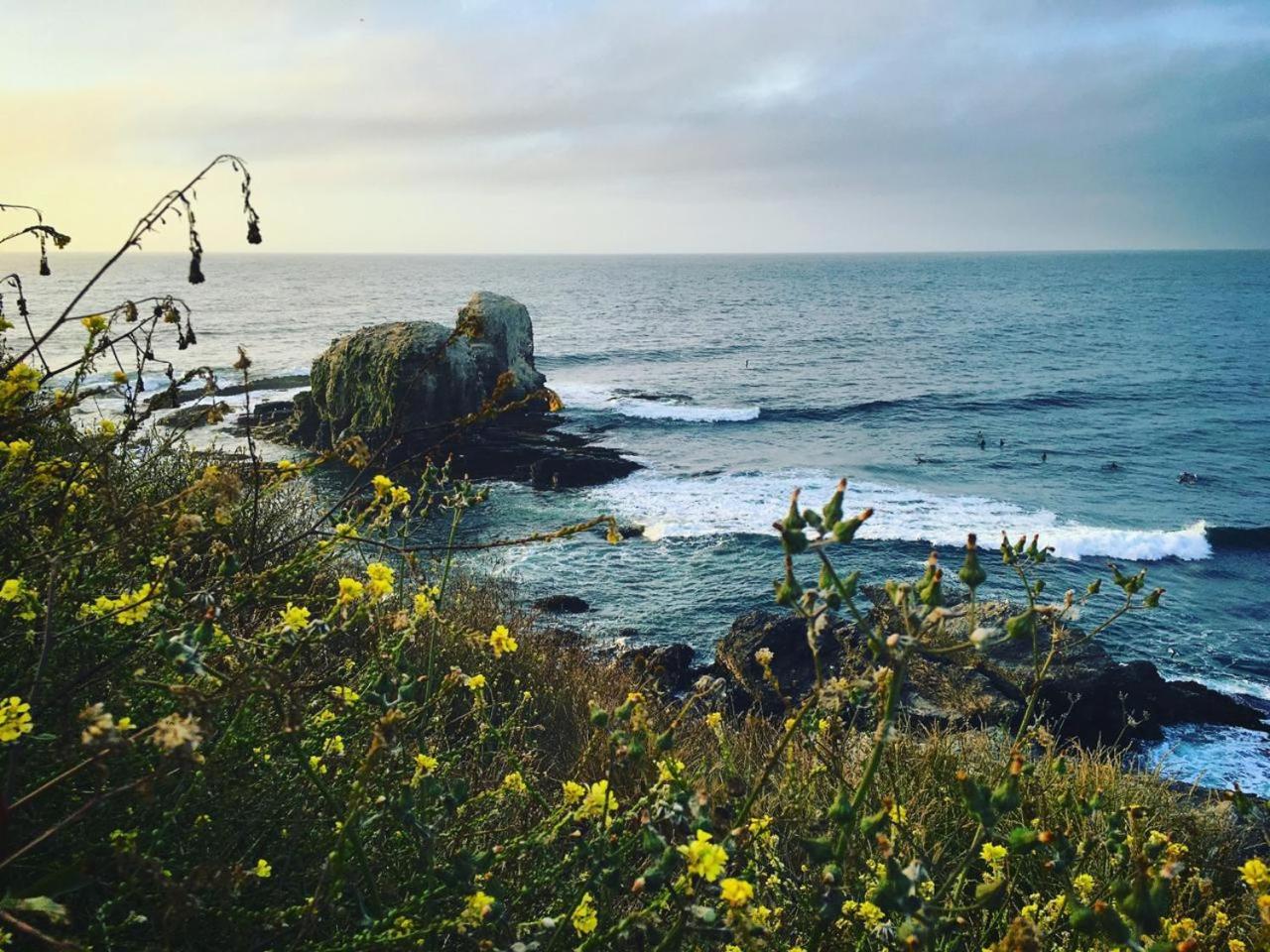 Hotel Alaia Pichilemu Dış mekan fotoğraf